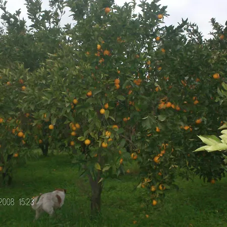 La Cucullera Bauernhof *