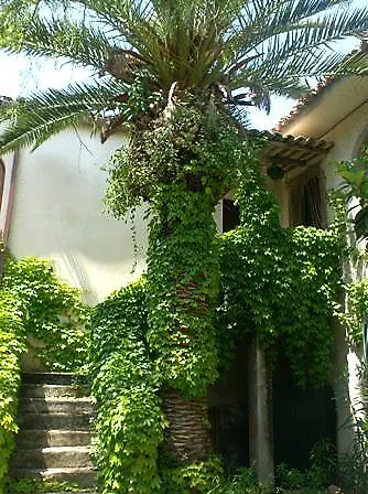 La Cucullera Vakantieboerderij
