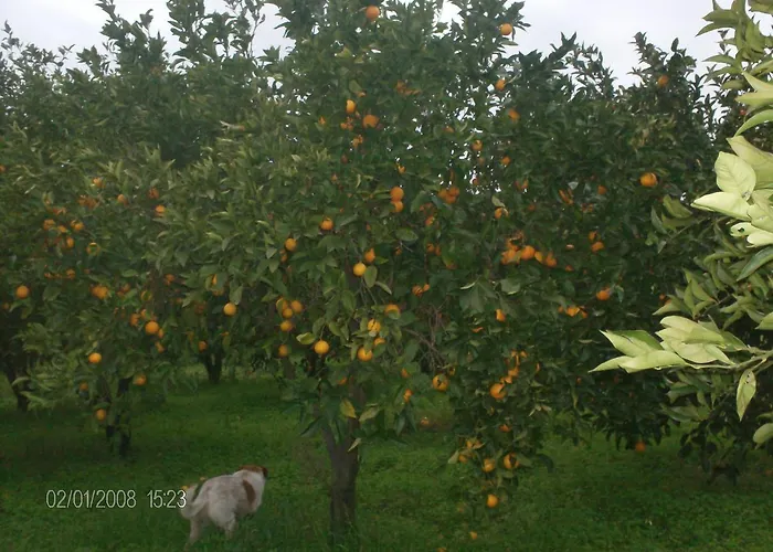 La Cucullera Alojamento de Turismo Rural *